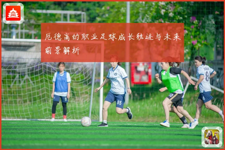 厄德高的职业足球成长轨迹与未来前景解析