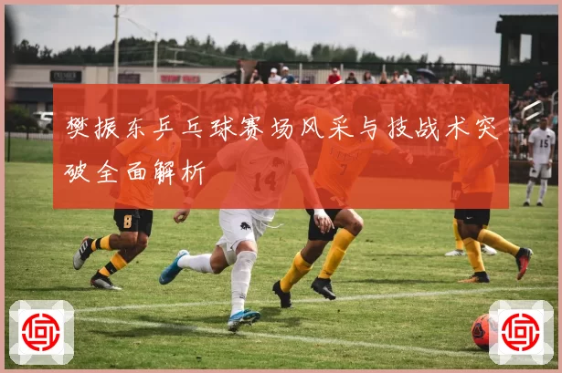 樊振东乒乓球赛场风采与技战术突破全面解析